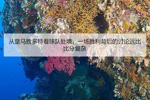 从皇马胜多特看球队处境，一场胜利背后的讨论远比比分复杂