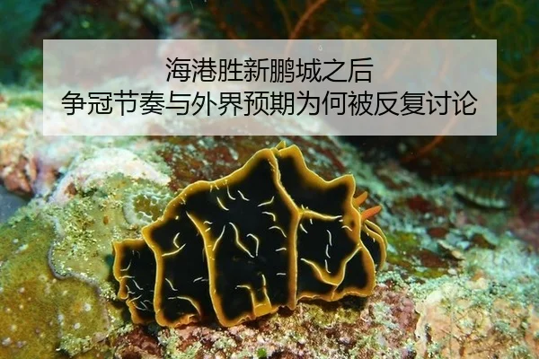 hai-gang-sheng-xin-peng-cheng-zhi-hou-zheng-guan-jie-zou-yu-wai-jie-yu-qi-wei-he-bei-fan-fu-tao-lun-2-331.jpg